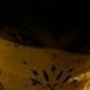 Meet your Posher, Xiphister